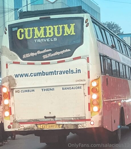 Salacious12 高品質モデル ギャラリー