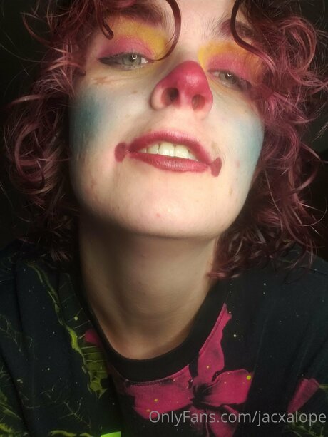 Jacxalope 限定モデル 写真