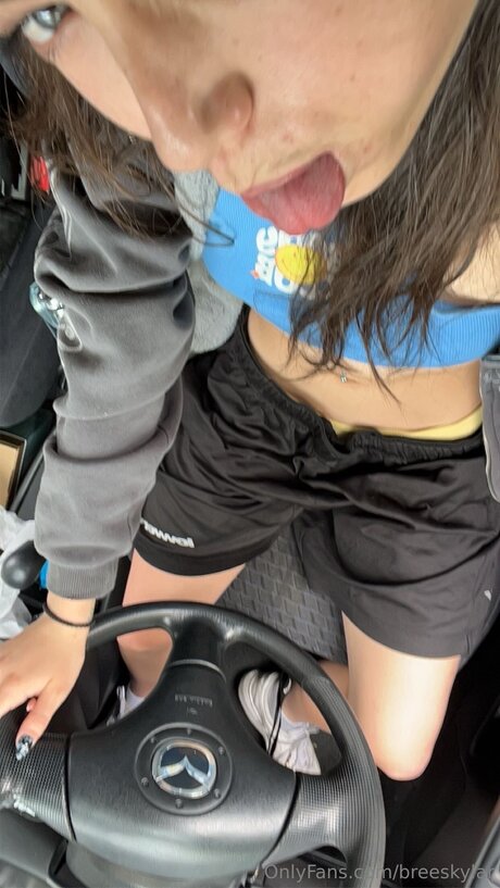 Breeskylar セックススター 写真