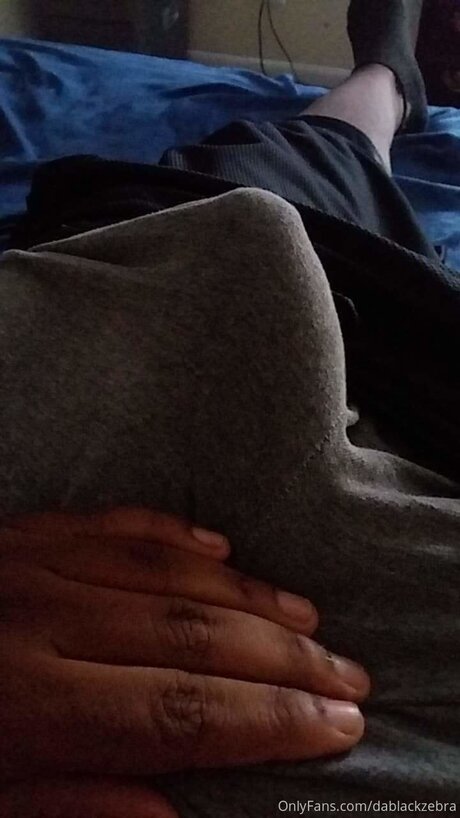 Dablackzebra セクシーなスター アーカイブ