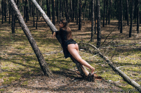 プッシー尻オンリーファンズ HD 写真