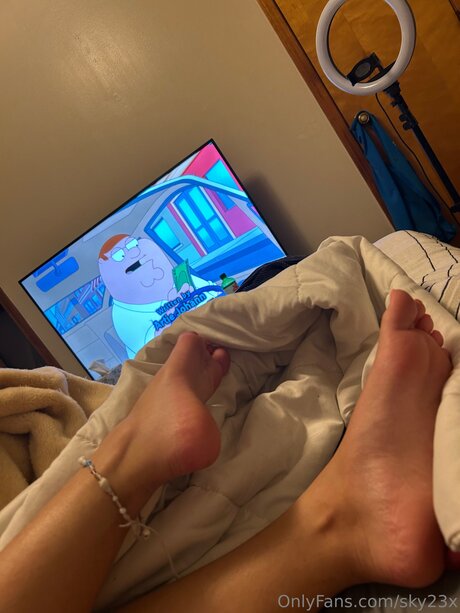 Sky23x アートスター 写真