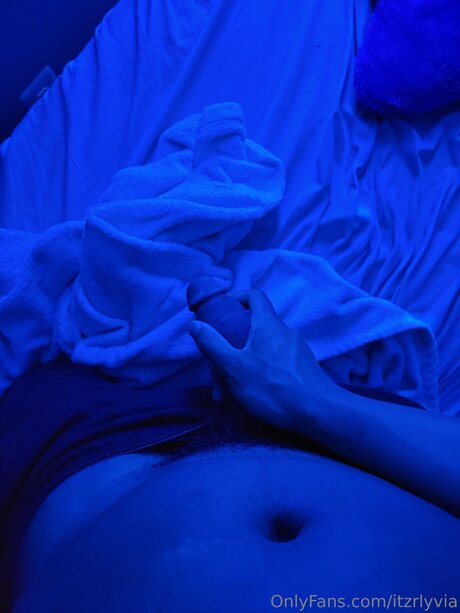 Cynvya 高品質モデル 画像