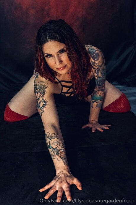 アジアのおばあちゃんオンリーファンズ 素敵 画像