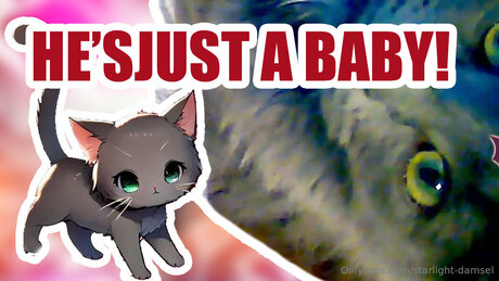 Starlight Damsel アートモデル 写真