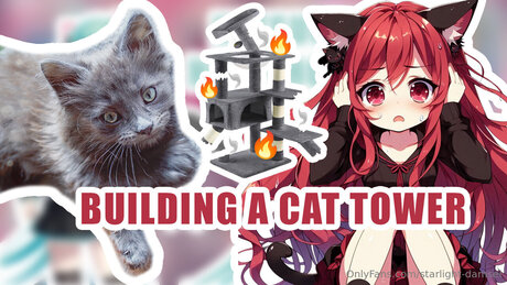 Starlight Damsel アートモデル 写真