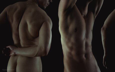 Gayoffinland アダルトスター アーカイブ