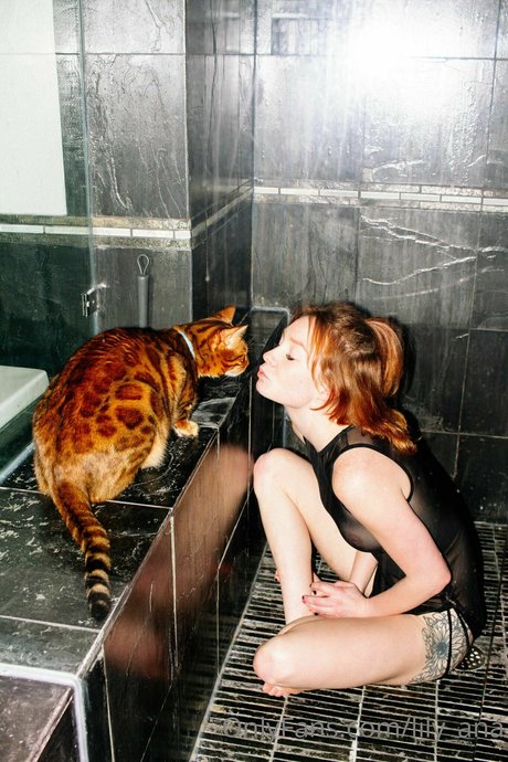 lily ana ポルノスター パーフェクト 画像