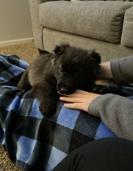 Summerreese セックスポルノスター 写真