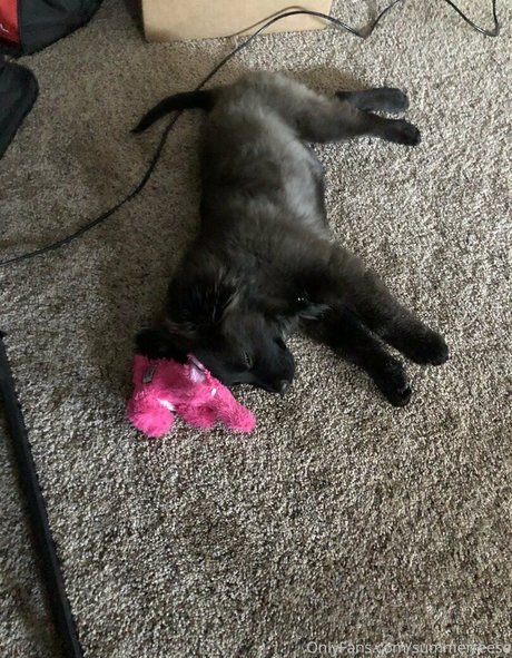 立ちファックオンリーファンズ 無料ポルノ 写真