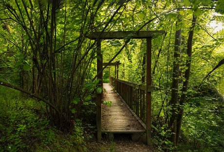 Emily O dette ヌードモデル 写真