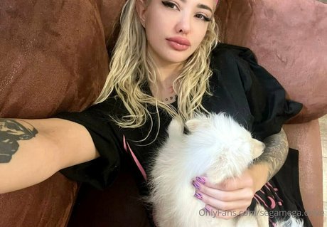 segamega drive セクシーなスター 写真