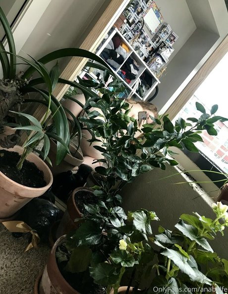 anabalfe アートスター 画像