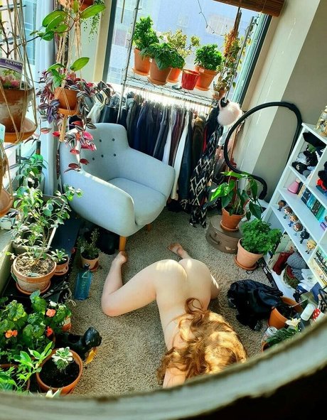 anabalfe ホットなスター 写真