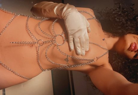 Fredys 素敵なスター 写真