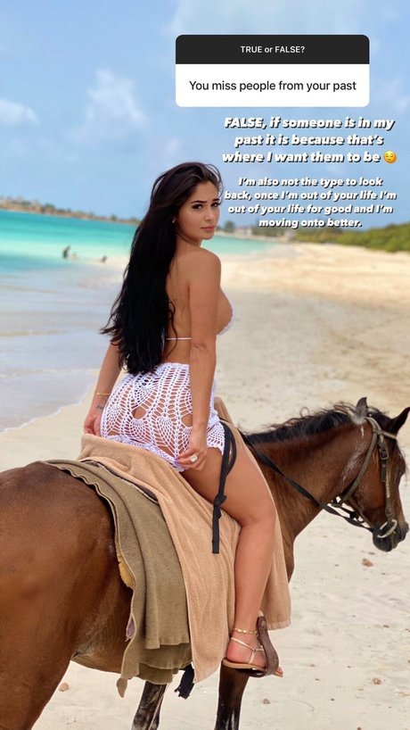 Vanessa christine ホットなスター アーカイブ