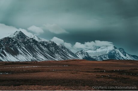 Katenaturals 素敵なスター ギャラリー