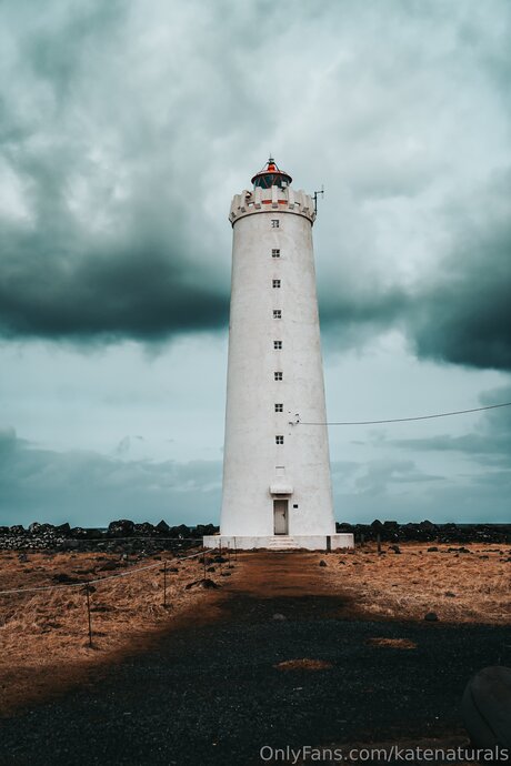 Katenaturals HDスター ギャラリー