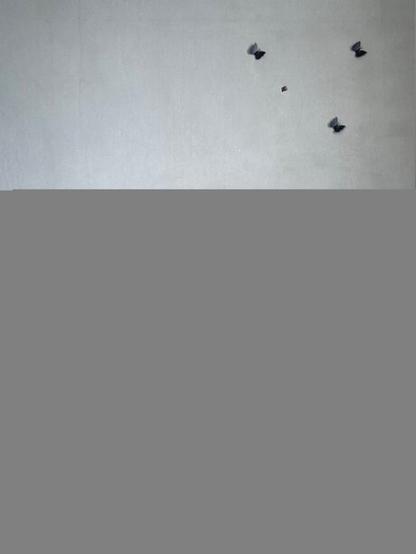 Olivi Star XXXモデル 画像