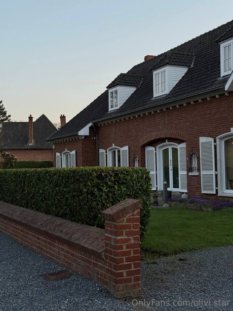 Olivi Star HDスター 写真