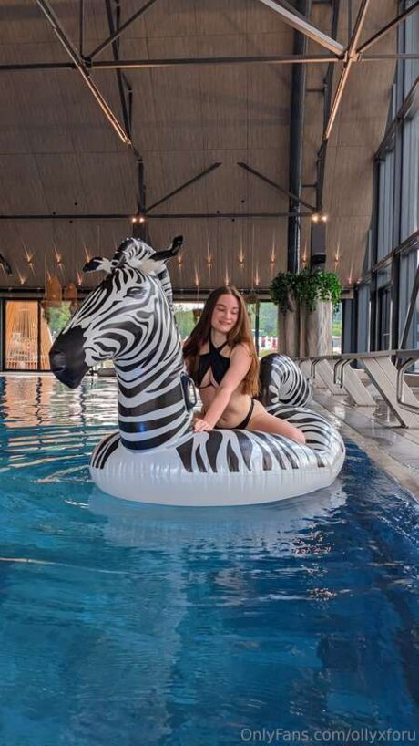 Ollyxforu 最高のスター ギャラリー