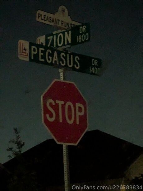 クソ野郎オンリーファンズ アートヌード 写真