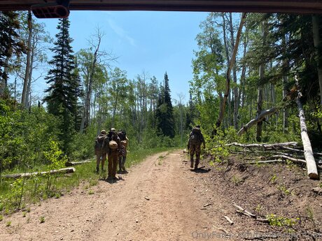 Bulletvalentina セックススター 画像