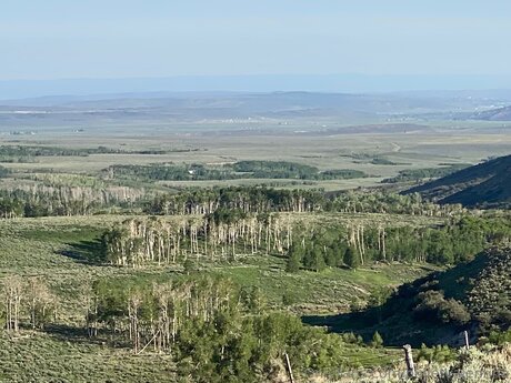 Bulletvalentina ポルノスター ベスト 写真