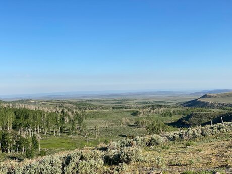 Bulletvalentina セクシーモデル 写真