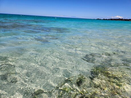 Bulletvalentina xxxスター 画像