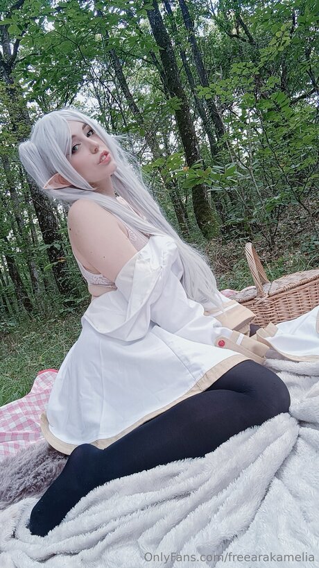 Freearakamelia XXXモデル 写真