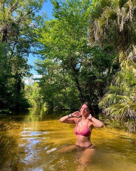 Starrysigh 高品質スター ギャラリー