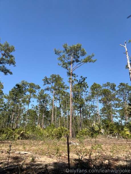 Leahwbrooke ポルノスター 独占 アーカイブ