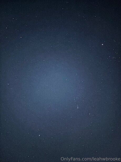 曲線美のxxx オンリーファンズ えろ 画像