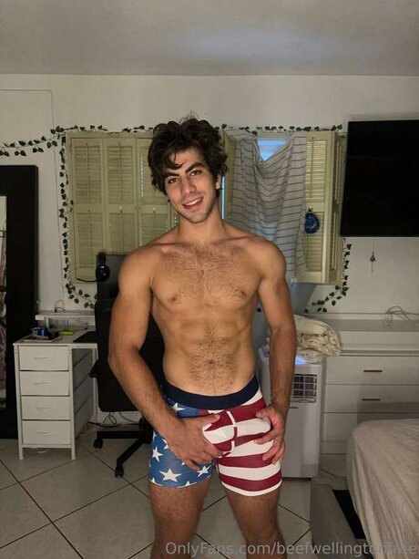 Beefwellingtonfree アートモデル 画像