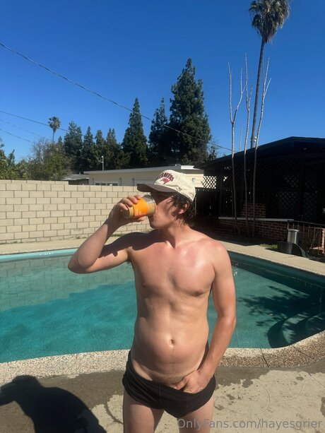 Hayesgrier 高品質のスター 写真