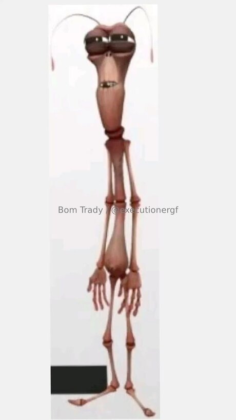 Executionergf ヌードモデル 画像