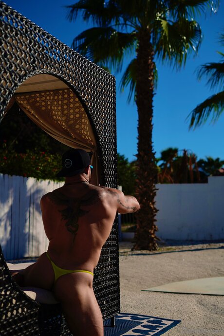 タンオンリーファン 限定 写真