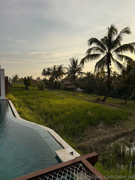 小さなおっぱいオンリーファンズ アートポルノ ギャラリー