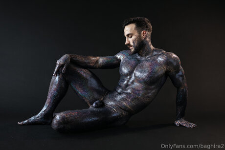 Baghira2 アートポルノスター 画像