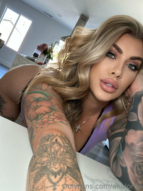 Analorde ヌードモデル 画像