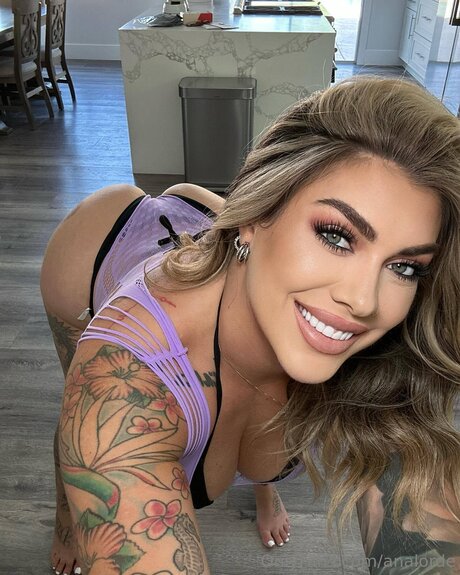 Analorde HDモデル 写真