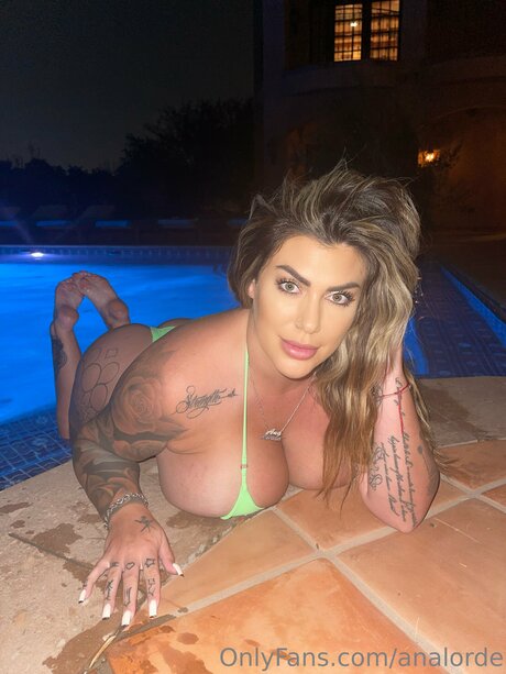 Analorde ポルノスター 美しい 画像