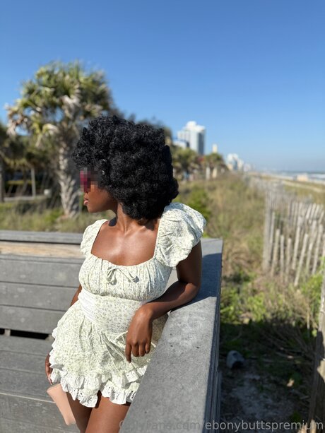 タンオンリーファン 無料 ギャラリー