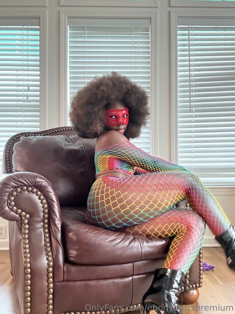 タンオンリーファン ベスト ギャラリー