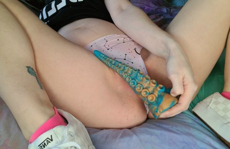 Autumn wolf 素敵なスター 画像