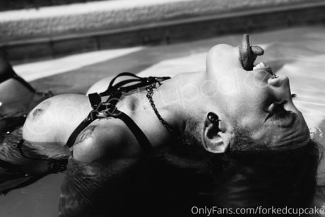 Forked Cupcake_ HD女優 ギャラリー