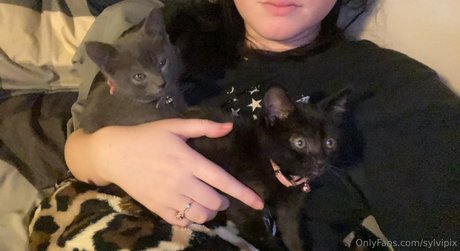 Sylvipix Young Goth Milf ポルノスター トップ ギャラリー