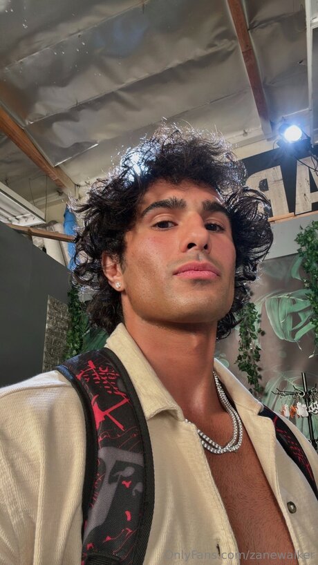 Zanewalker エロティックなスター 画像