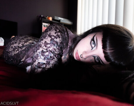 Acidslvt 裸のポルノスター アーカイブ